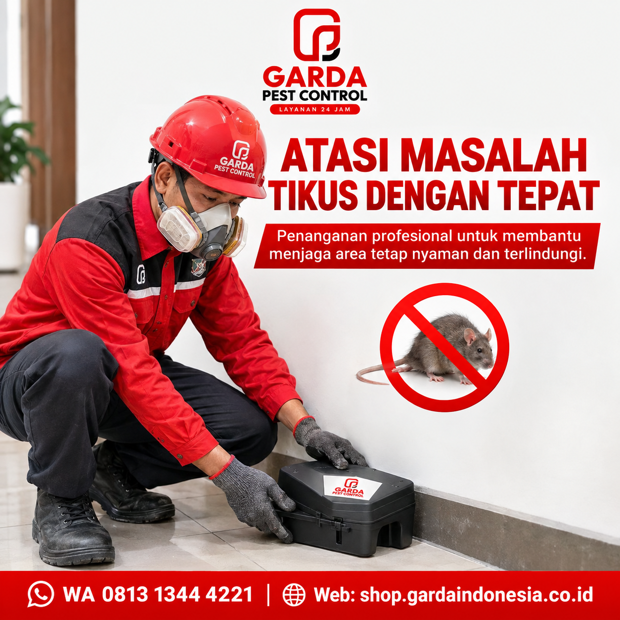 Butuh Pembasmi Tikus Jakarta? Pilih Layanan Profesional & Terpercaya - Gambar 5