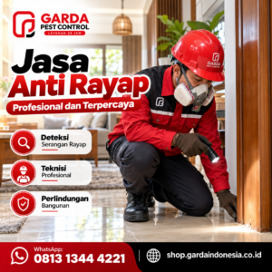 Jasa Anti Rayap untuk Rumah, Gudang, dan Tempat Usaha Jakarta Utara